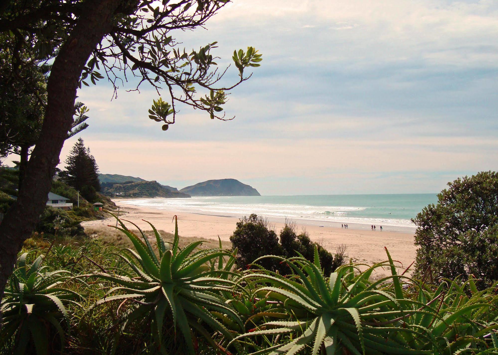 Ocean Beach Motor Lodge Gisborne Bagian luar foto